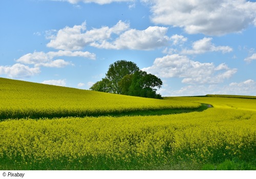 Natur und Landschaft
