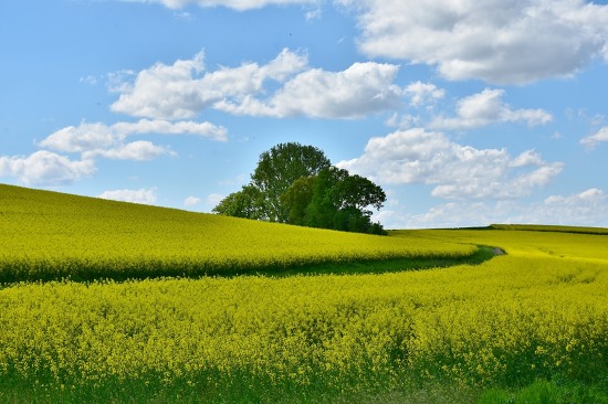 Natur und Landschaft