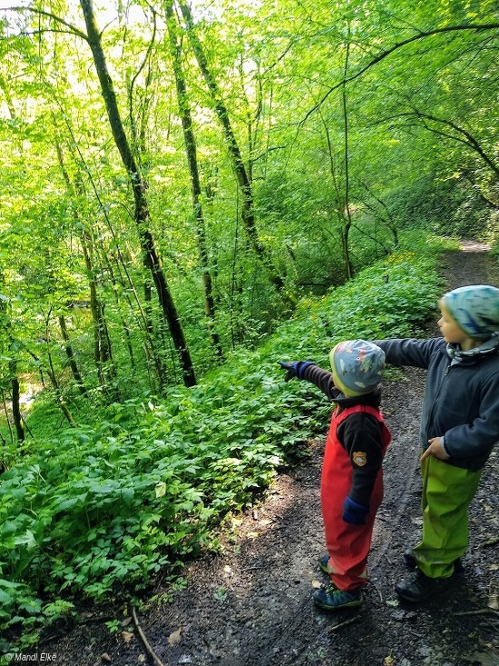 Komm, wir gehen in den Nebelwald - Wanderung für Großeltern/Familien mit Kindern ab 3 Jahren